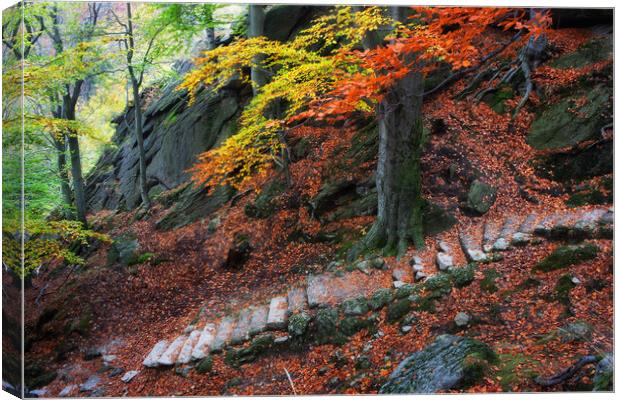 Old Stone Stairs In Autumn Mountains Canvas Print by Artur Bogacki