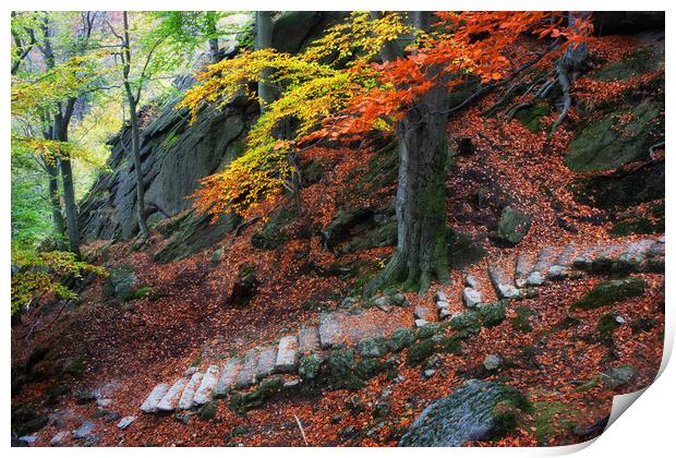 Old Stone Stairs In Autumn Mountains Print by Artur Bogacki