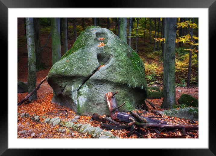 Mushroom Rock in Forest Framed Mounted Print by Artur Bogacki
