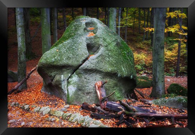 Mushroom Rock in Forest Framed Print by Artur Bogacki