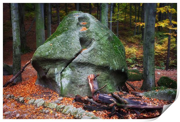 Mushroom Rock in Forest Print by Artur Bogacki