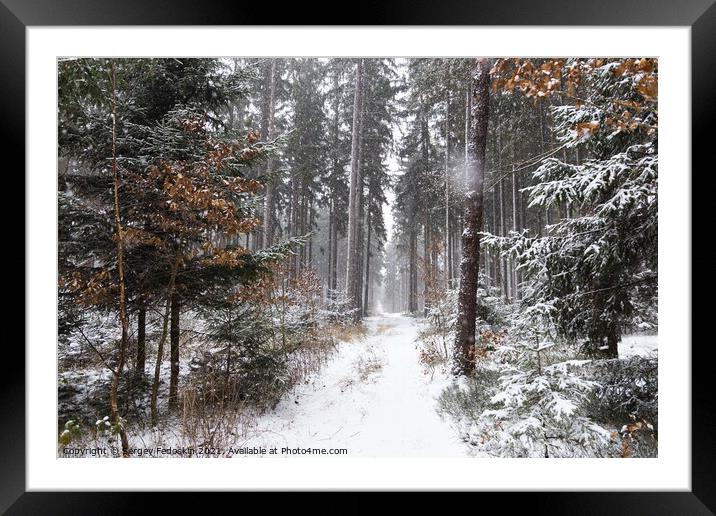 Snowfall in forest. Winter landscape. South Bohemian region. Framed Mounted Print by Sergey Fedoskin