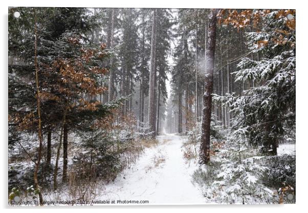 Snowfall in forest. Winter landscape. South Bohemian region. Acrylic by Sergey Fedoskin