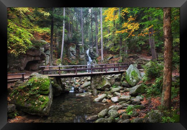 Bridge Over Stream In Autumn Mountain Forest  Framed Print by Artur Bogacki