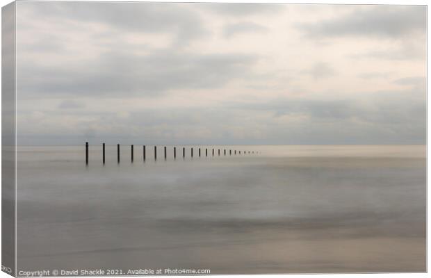 Ancient Groins Disappearing Into The Ocean  Canvas Print by David Shackle