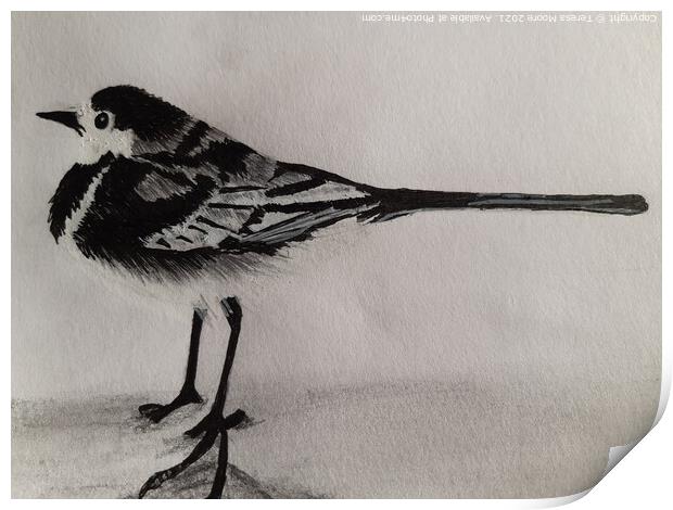 The curious Pied Wagtail of Winter Print by Teresa Moore