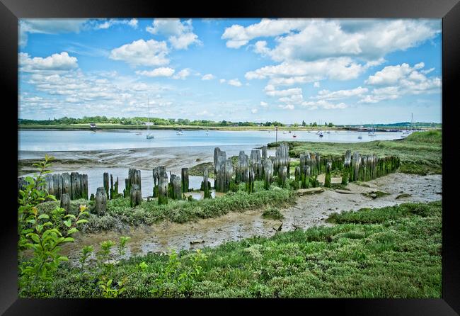 South Fambridge medieval  remains of fishing piers, River Crouch, Essex, UK. Framed Print by Peter Bolton