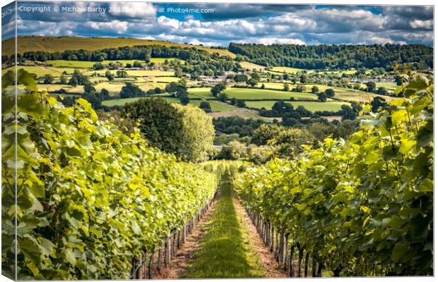 Cotswold Vineyard Canvas Print by Michael Barby