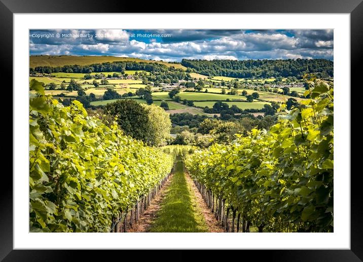 Cotswold Vineyard Framed Mounted Print by Michael Barby