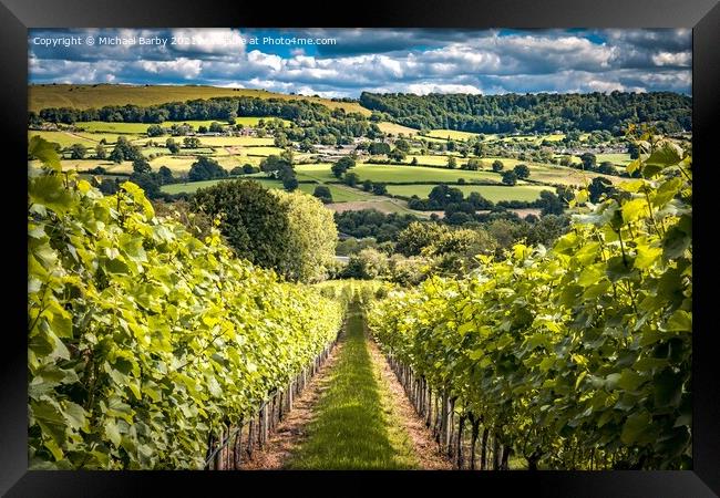 Cotswold Vineyard Framed Print by Michael Barby