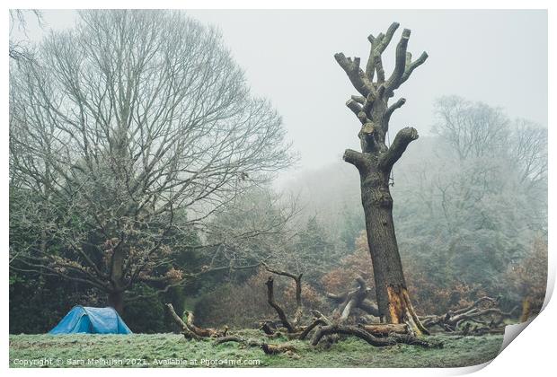 London Park Camping Print by Sara Melhuish