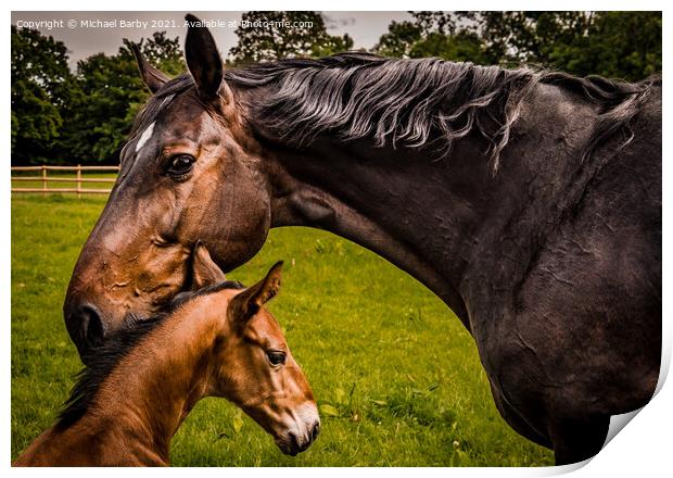 Mare and foal Print by Michael Barby