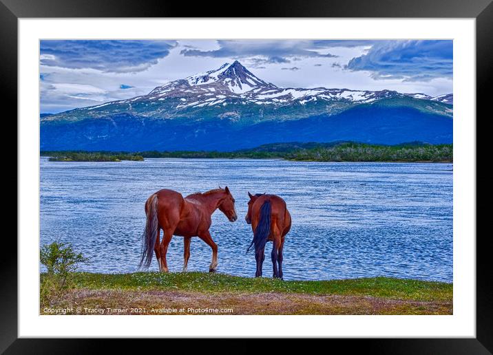 Horses in Patagonia, Chile Framed Mounted Print by Tracey Turner