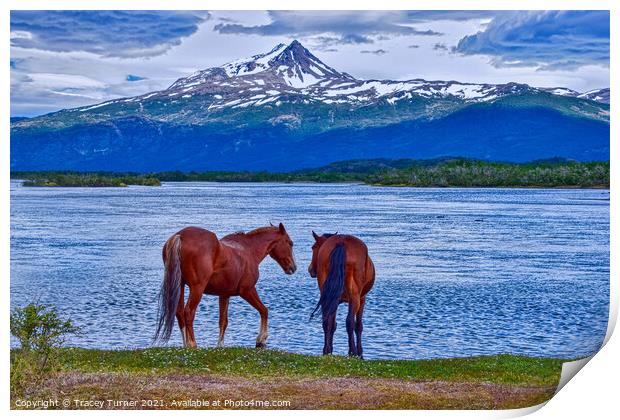 Horses in Patagonia, Chile Print by Tracey Turner