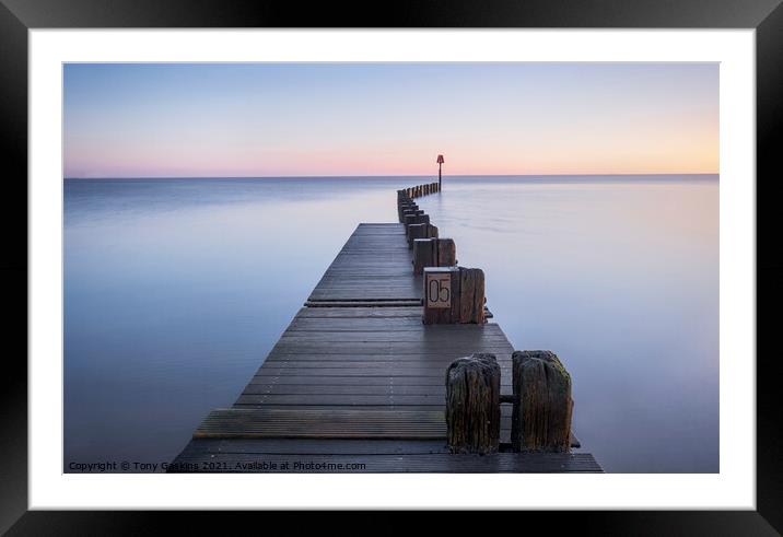 NO 5, Humber Estuary Framed Mounted Print by Tony Gaskins