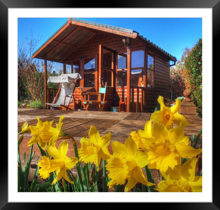 Daffodil Summerhouse Scotland Framed Mounted Print by OBT imaging