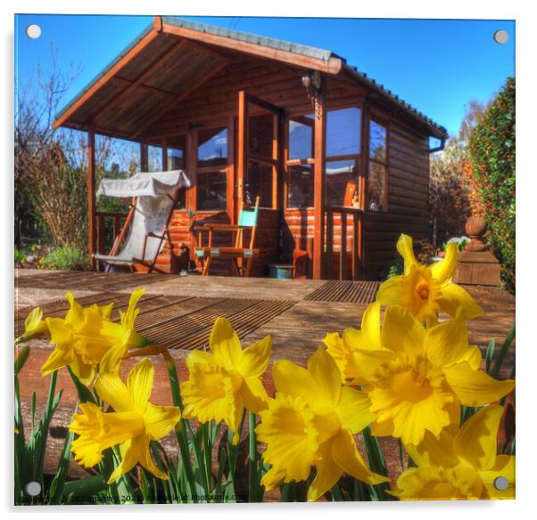 Daffodil Summerhouse Scotland Acrylic by OBT imaging