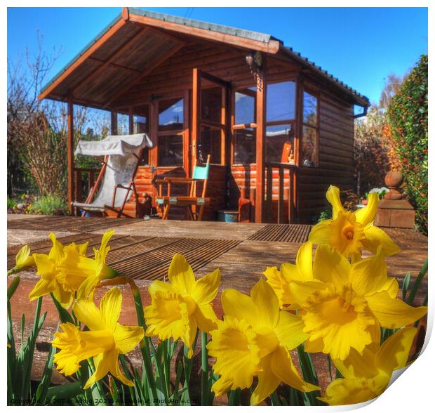 Daffodil Summerhouse Scotland Print by OBT imaging