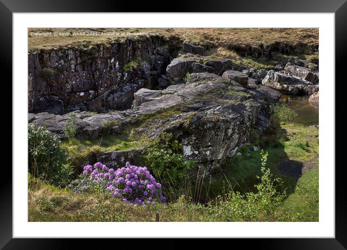 Flora and Rock Framed Mounted Print by Kevin White