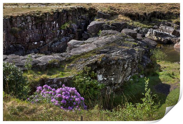 Flora and Rock Print by Kevin White