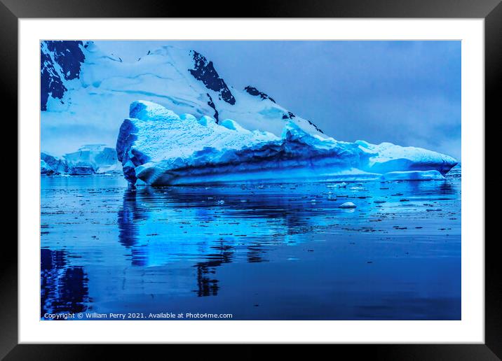 Floating Blue Iceberg Reflection Paradise Bay Antarctica Framed Mounted Print by William Perry