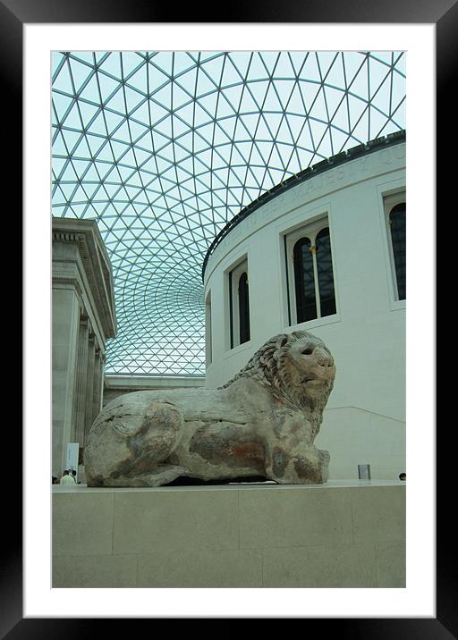 The British Museum and the Knidos Lion. Framed Mounted Print by Tony Linney