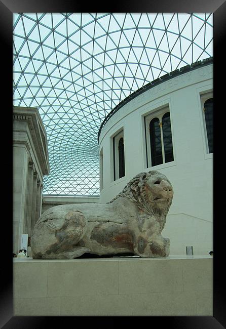 The British Museum and the Knidos Lion. Framed Print by Tony Linney