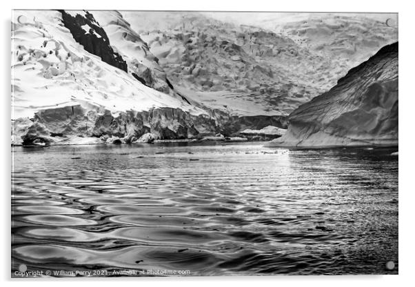 Black and White Glacier Snow Mountains Paradise Bay Skintorp Cov Acrylic by William Perry