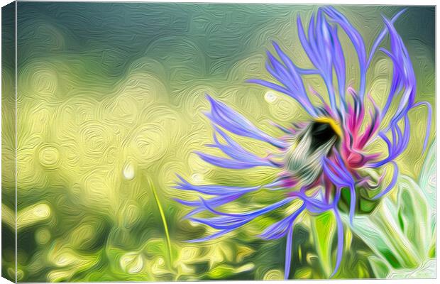 Busy Bee Canvas Print by Paul Robson