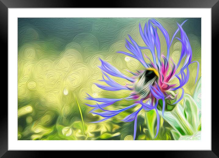Busy Bee Framed Mounted Print by Paul Robson
