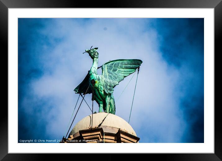 Liverpool Liver Bird Framed Mounted Print by Chris Pownell
