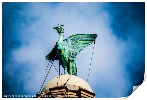 Liverpool Liver Bird Print by Chris Pownell
