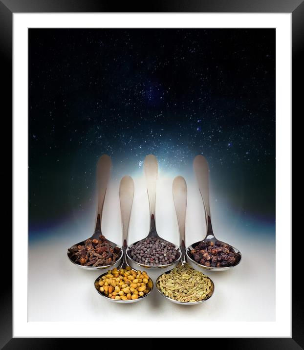 Spices of India Framed Mounted Print by Leighton Collins