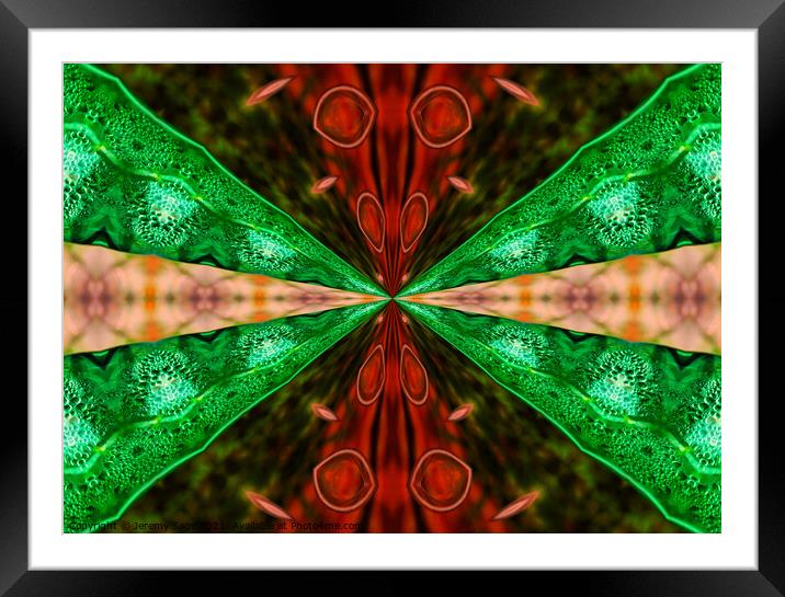 Psychedelic Infinity Framed Mounted Print by Jeremy Sage