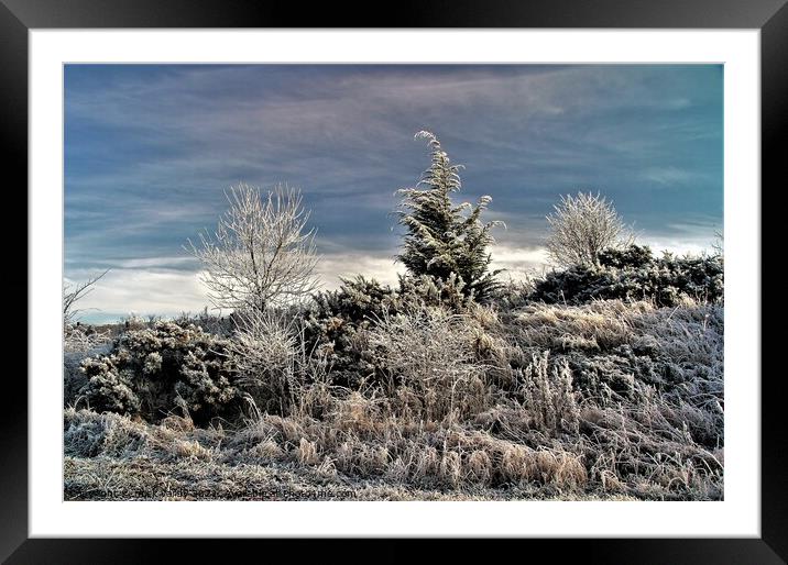 Winter hoar frost near Bingfield. Framed Mounted Print by mick vardy