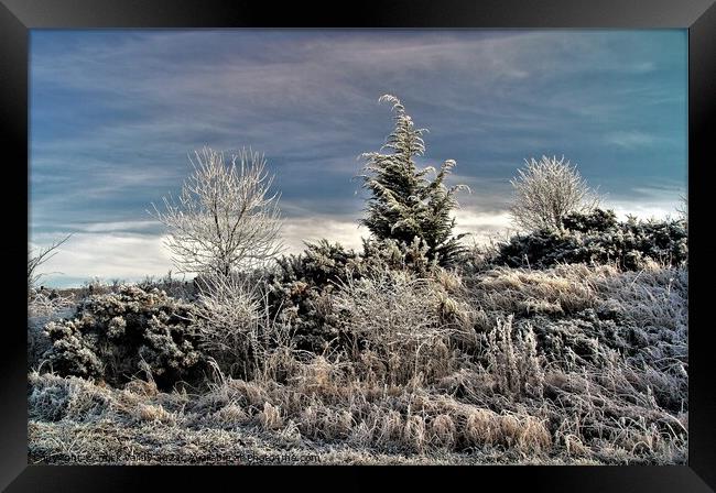 Winter hoar frost near Bingfield. Framed Print by mick vardy