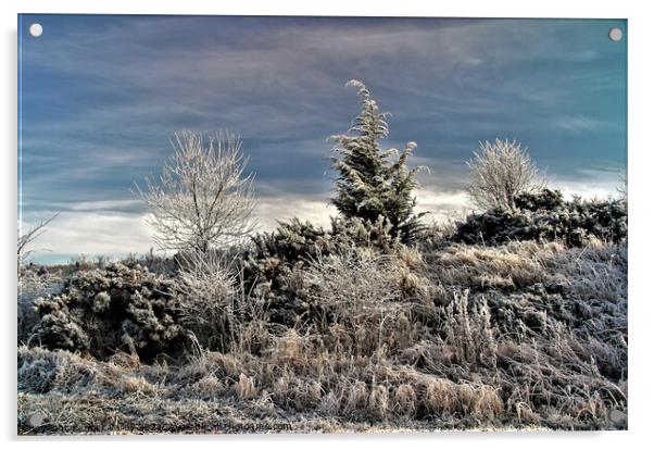 Winter hoar frost near Bingfield. Acrylic by mick vardy