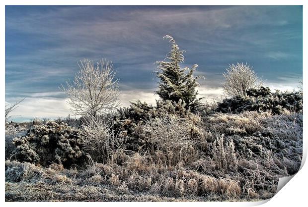 Winter hoar frost near Bingfield. Print by mick vardy