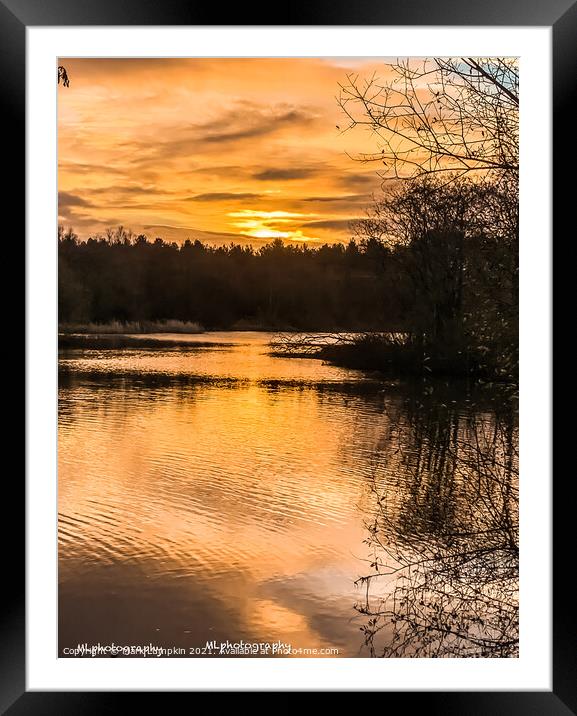 Moors Valley lake sunrise  Framed Mounted Print by Mark Lumpkin