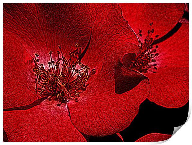 Red flower macro Print by Patti Barrett