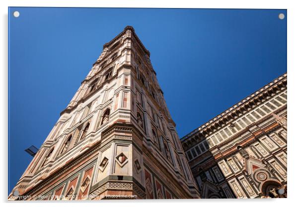 The Campanile di Giotto, Florence Acrylic by Peter O'Reilly