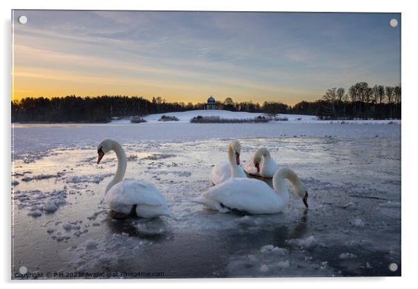 Frozen Swan Lake Acrylic by P H