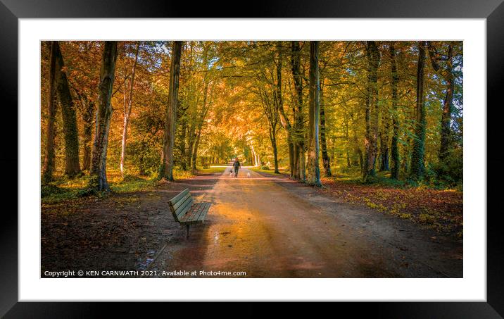 Serene Serenade: An Enchanting Autumn Stroll Framed Mounted Print by KEN CARNWATH