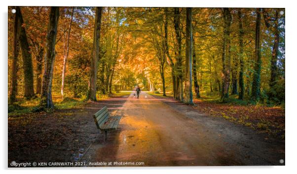 Serene Serenade: An Enchanting Autumn Stroll Acrylic by KEN CARNWATH