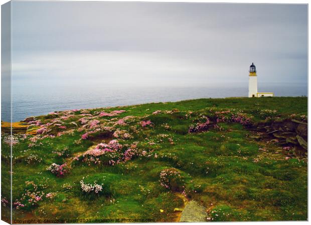 Noup Head Lighthouse Canvas Print by Steven Watson