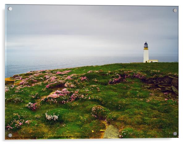 Noup Head Lighthouse Acrylic by Steven Watson