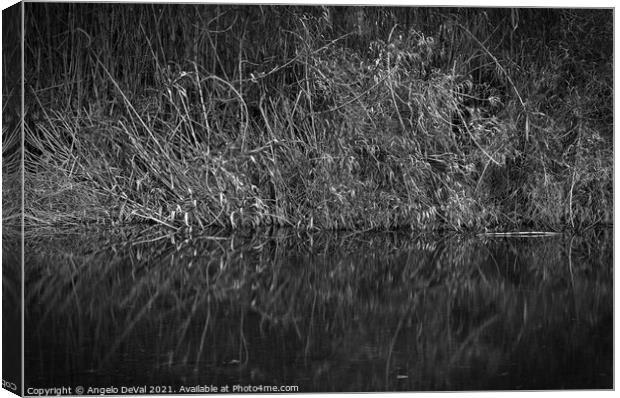 Peaceful creek and bamboos in Monochrome Canvas Print by Angelo DeVal