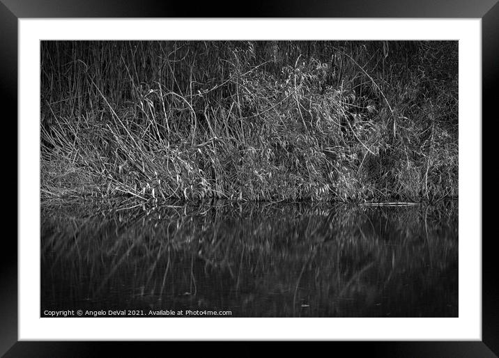 Peaceful creek and bamboos in Monochrome Framed Mounted Print by Angelo DeVal