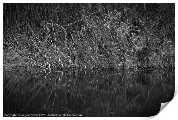 Peaceful creek and bamboos in Monochrome Print by Angelo DeVal