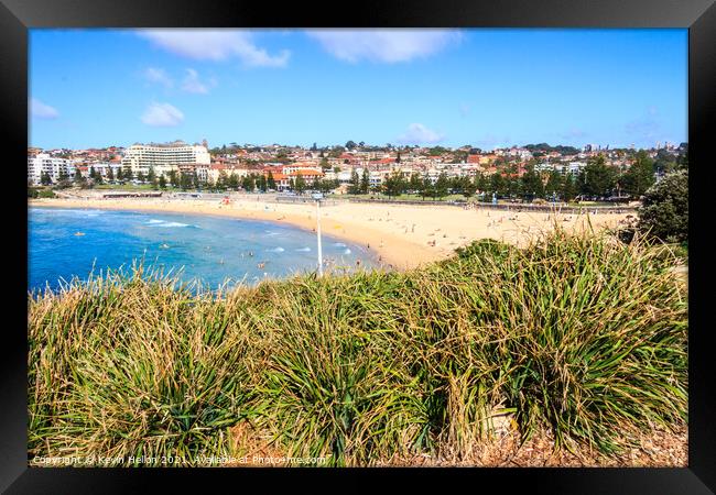 Bushes with Coogee beach Framed Print by Kevin Hellon